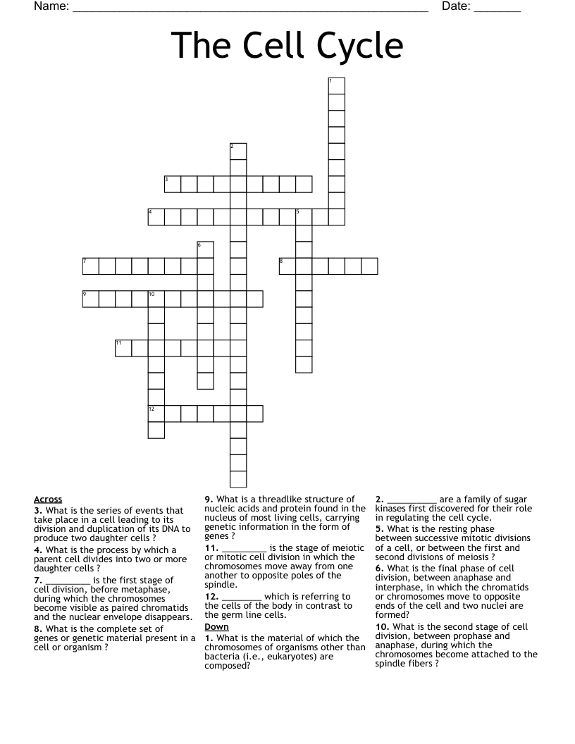 The Cell Cycle Crossword