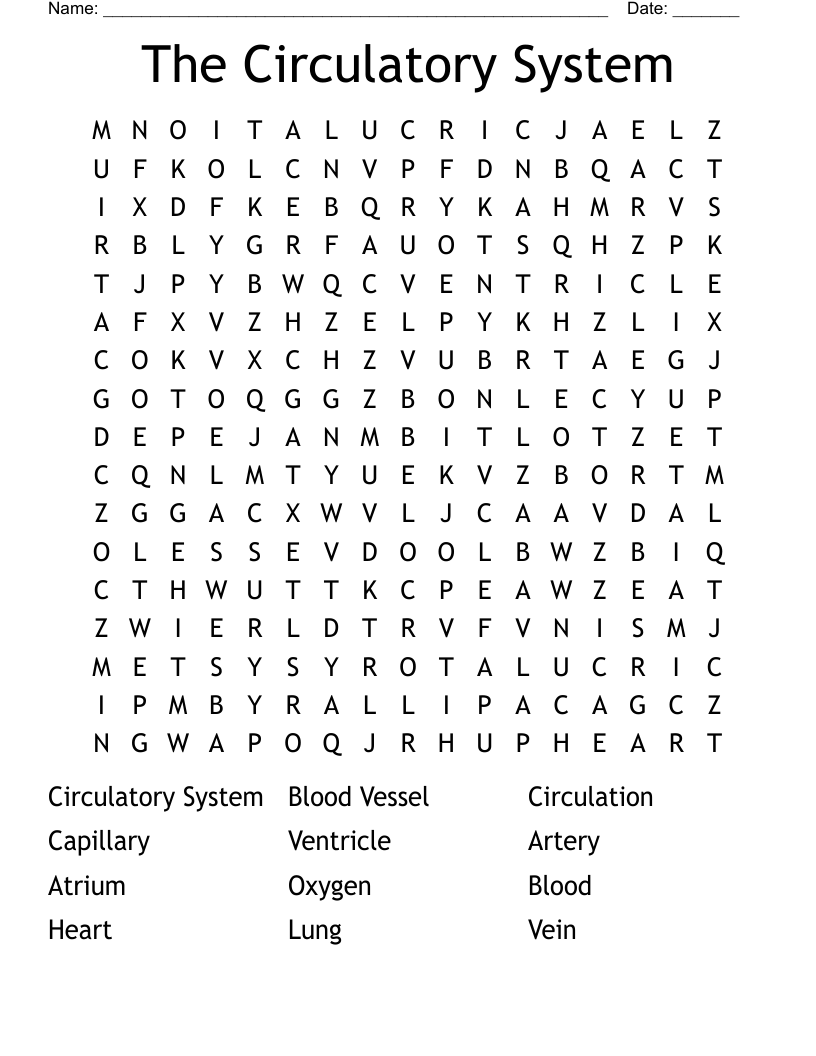 The Circulatory System Word Search