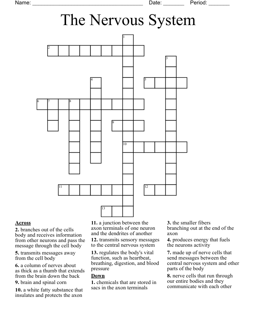 Crossword Puzzle Nervous System Answer Velvety dreams
