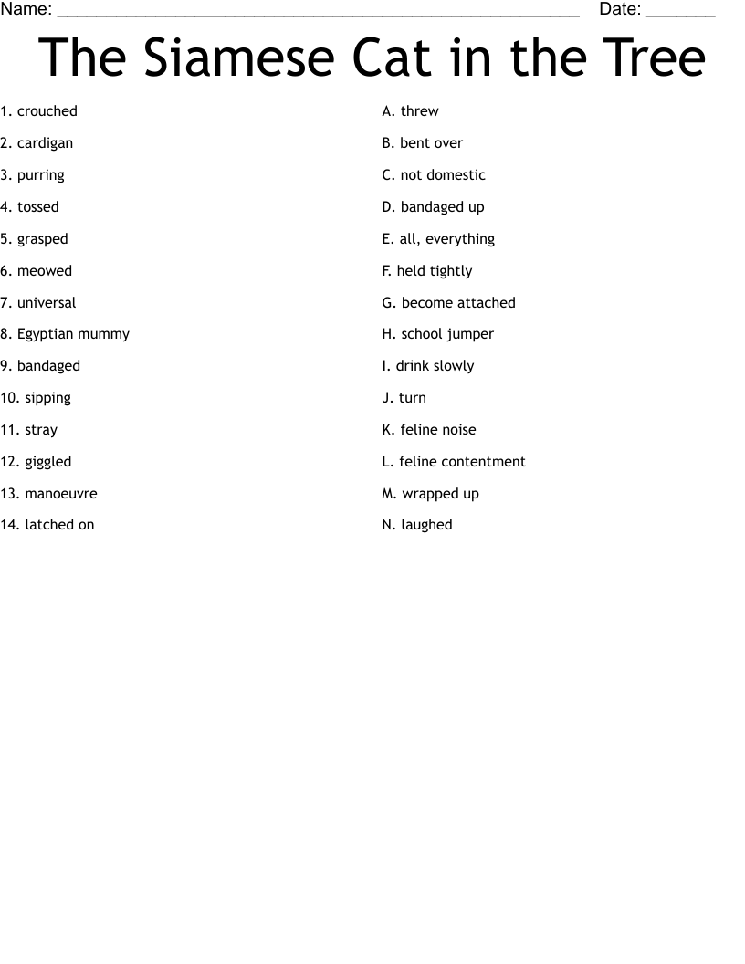 The Siamese Cat in the Tree Worksheet
