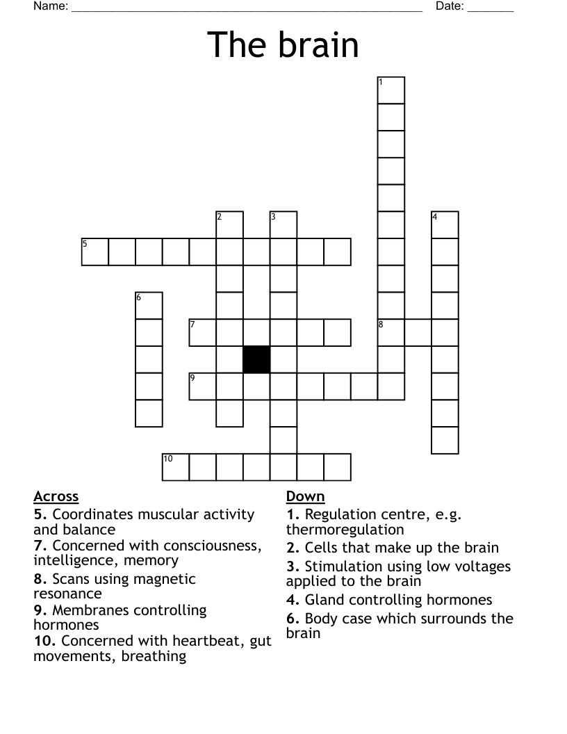 The Brain Crossword WordMint The Brain Crossword WordMint