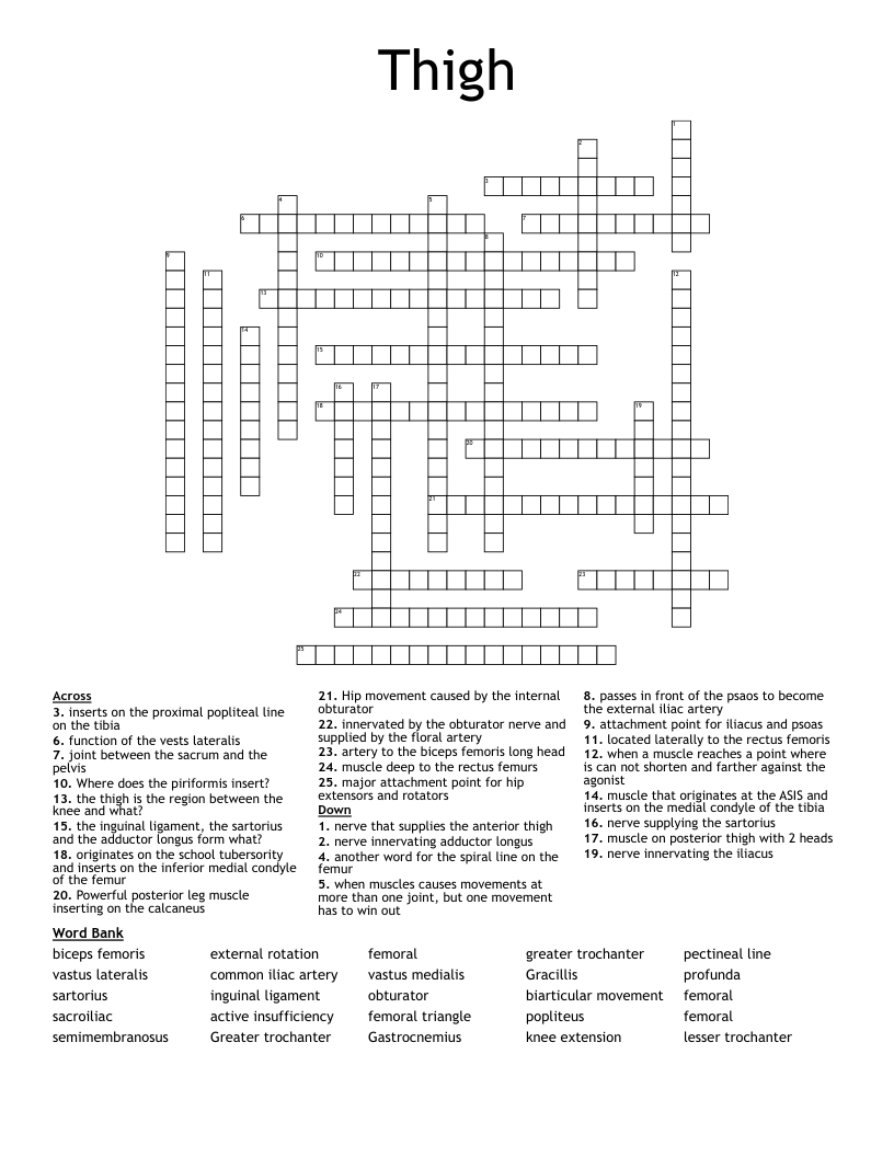 Thigh Crossword WordMint