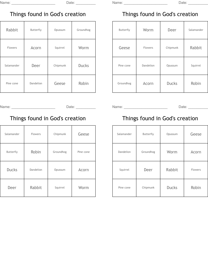 Things found in God's creation Bingo Cards