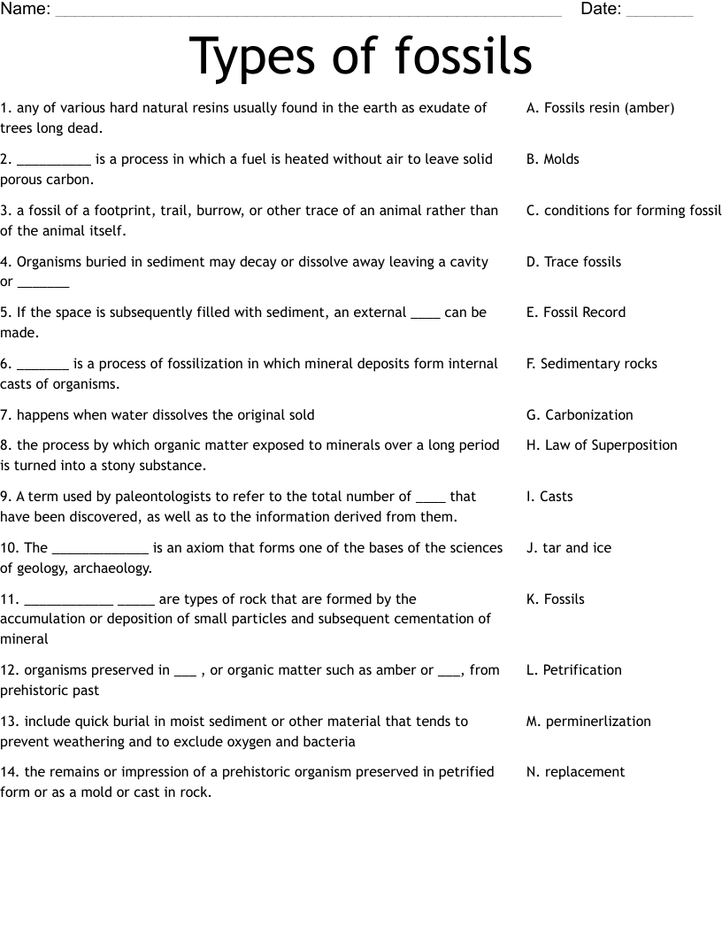 Fossils Types Of Fossils Worksheet Printable And Distance Learning 