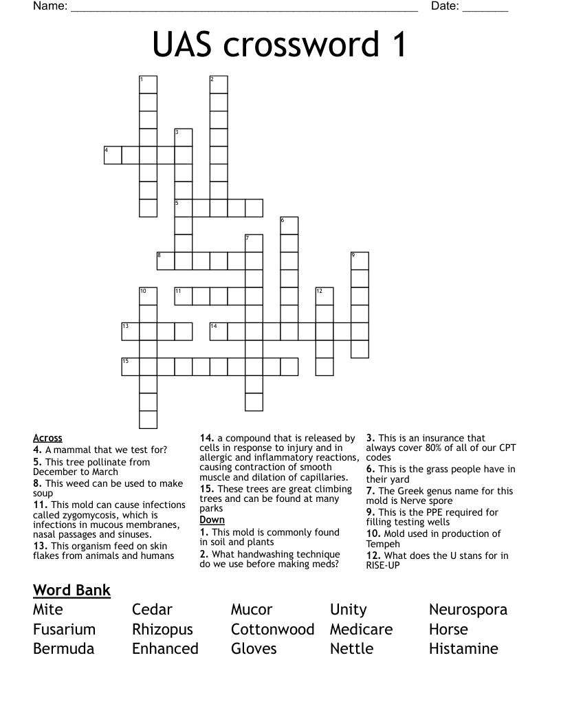 UAS crossword 1 