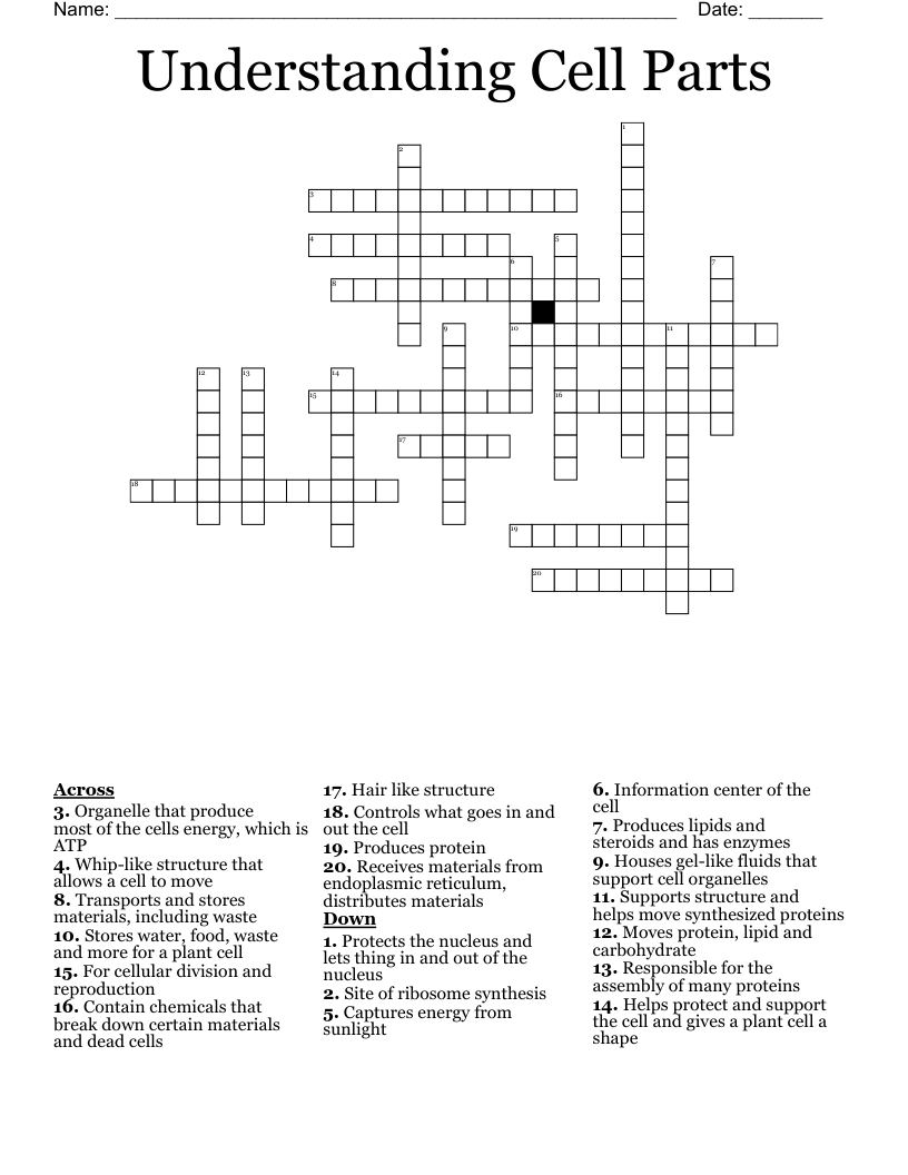 Will s Plant Crossword WordMint