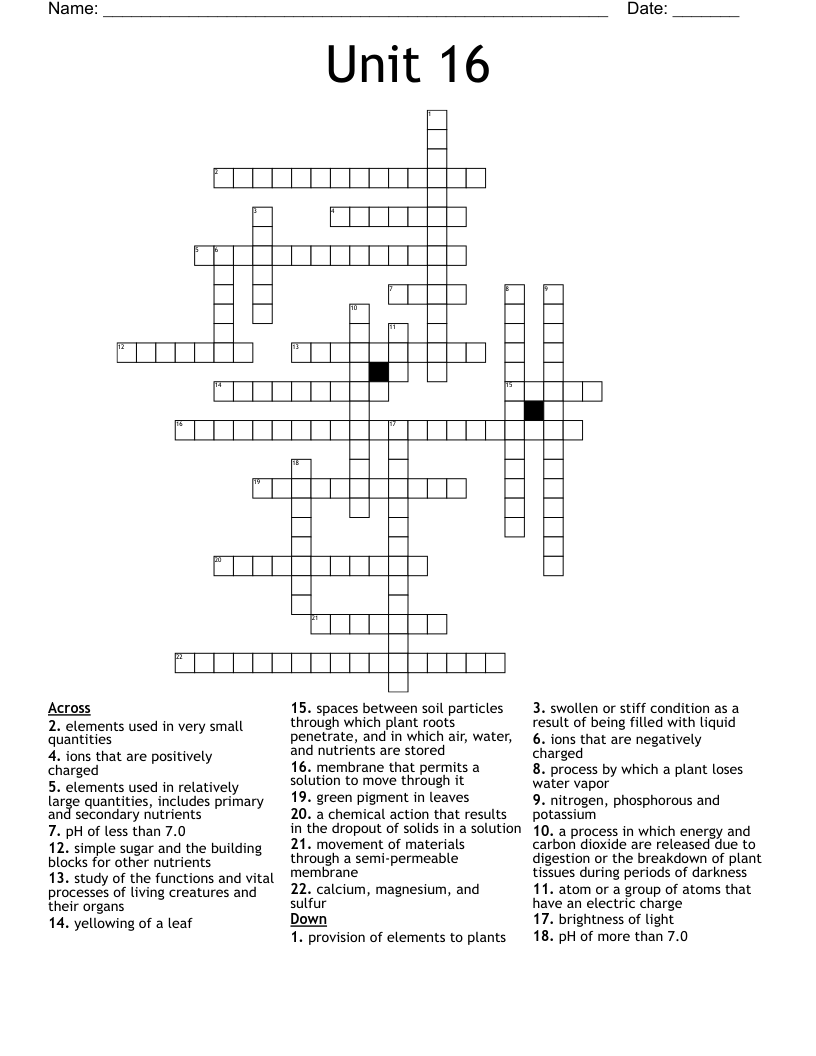 Unit 16 Crossword