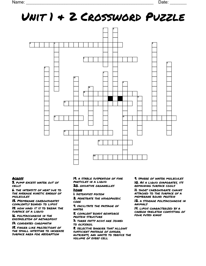 Unit 1 2 Crossword Puzzle WordMint
