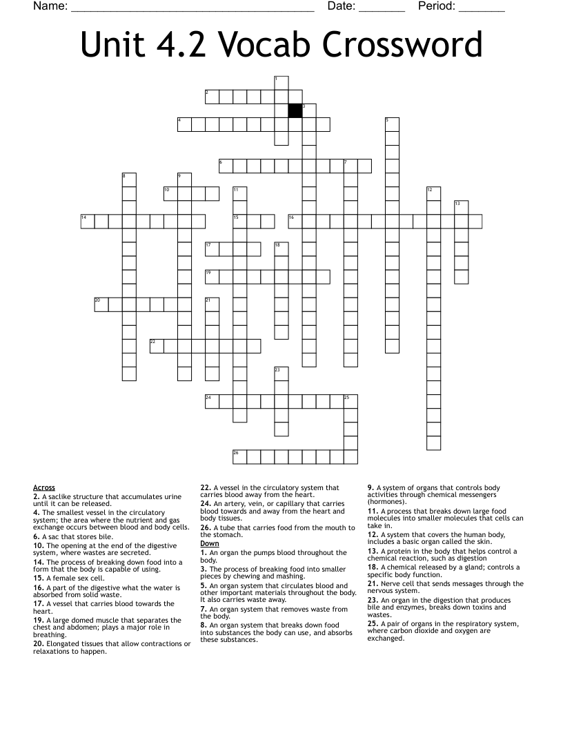 Unit 4.2 Vocab Crossword