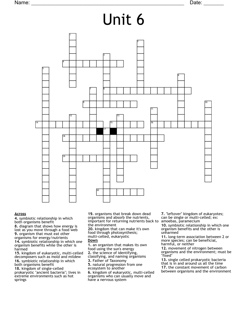 Unit 6 Crossword WordMint
