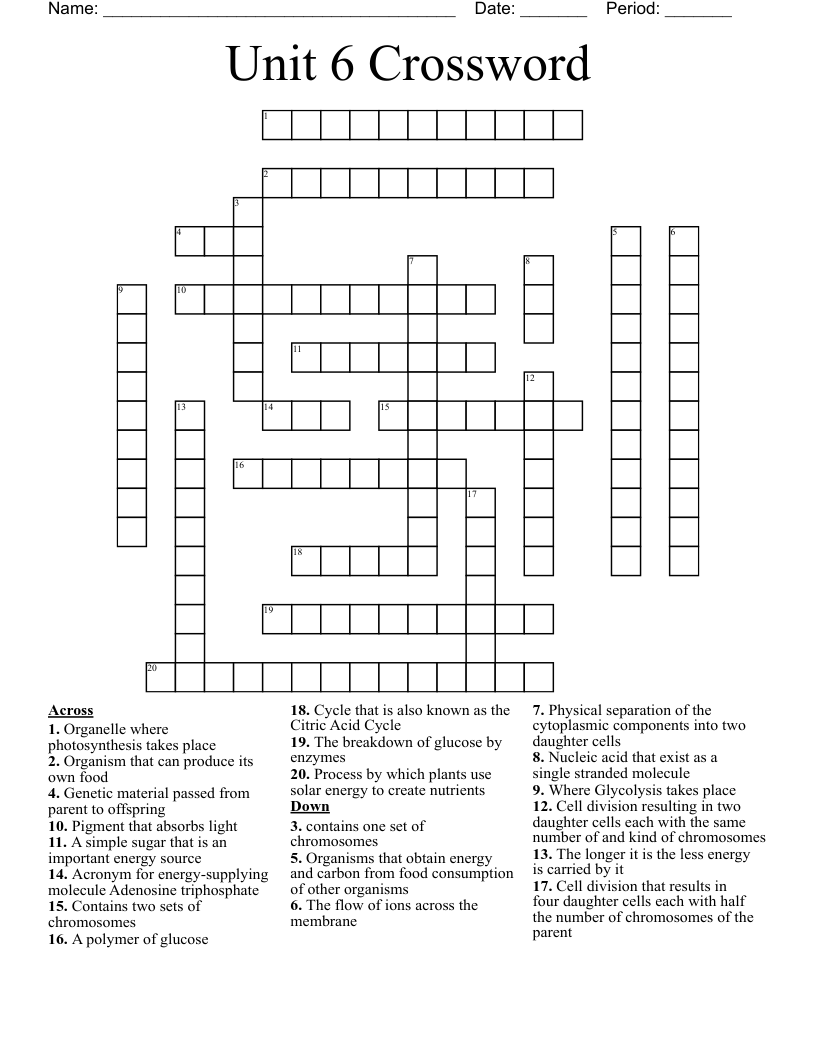 Unit 6 Crossword 