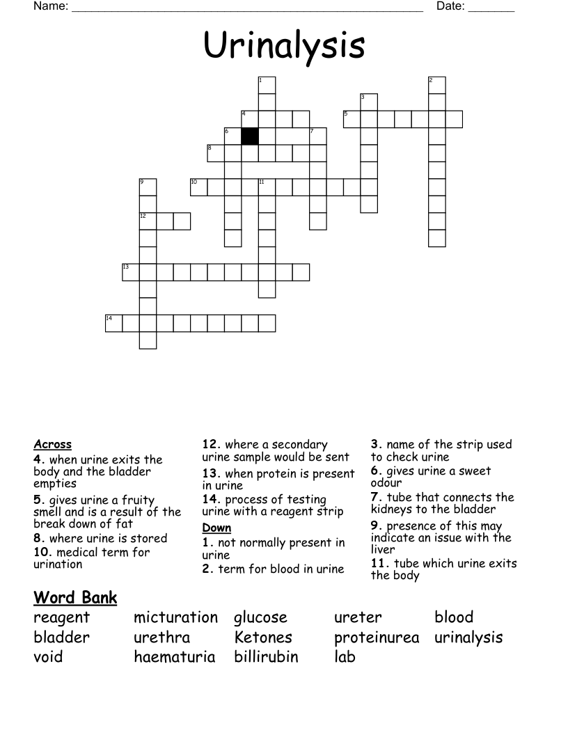 Urinalysis Crossword