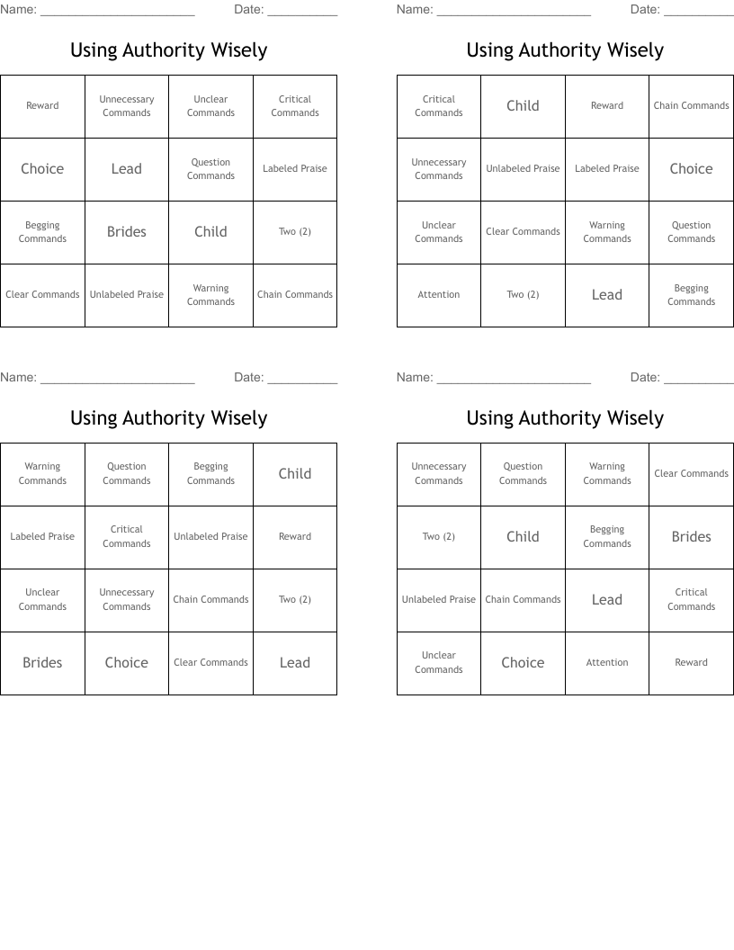 Using Authority Wisely  Bingo Cards