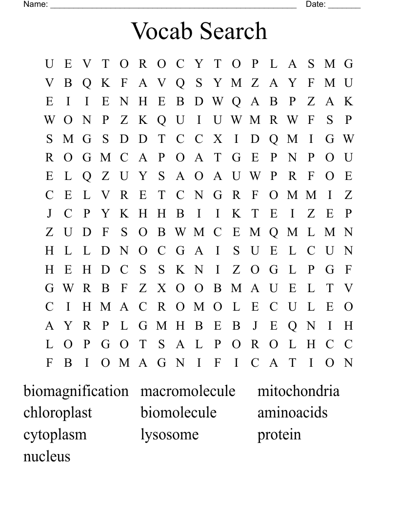 Vocab Search Word Search