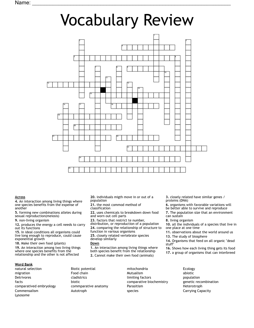 Vocabulary Review  Crossword