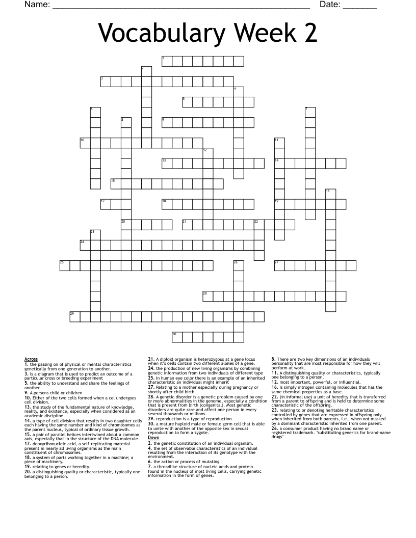 Vocabulary Week 2 Crossword