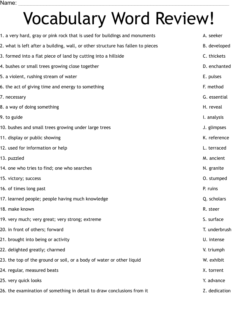 Vocabulary Word Review! Worksheet