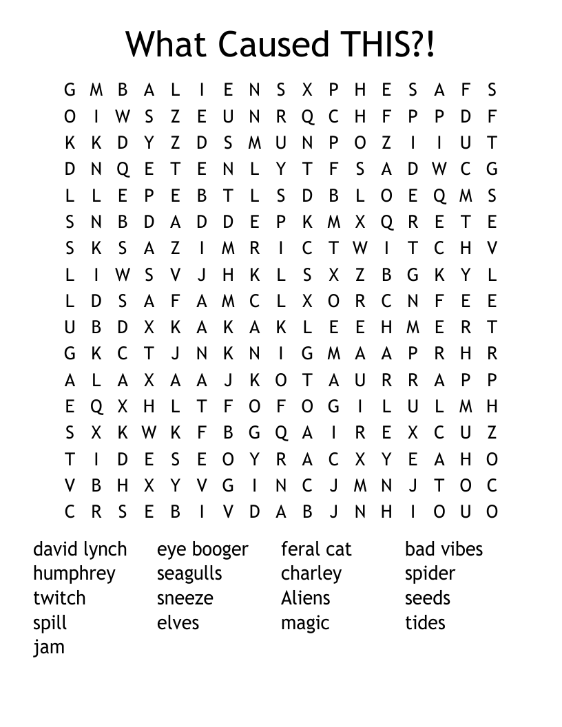 What Caused THIS?! Word Search