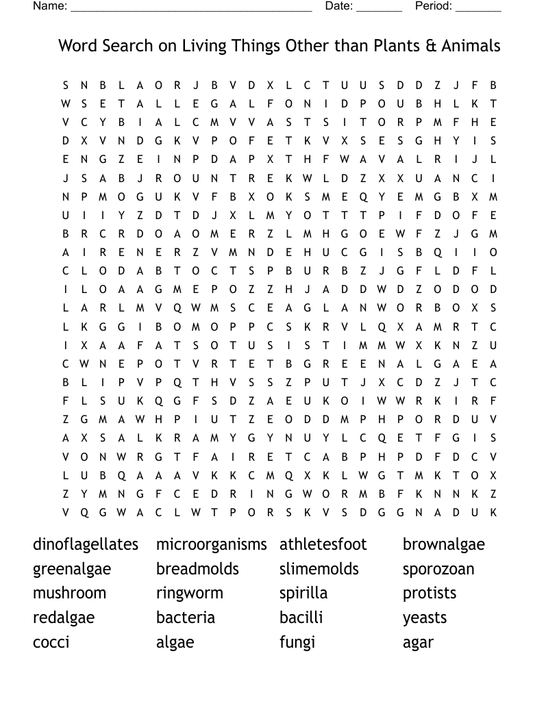 Word Search on Living Things Other than Plants & Animals