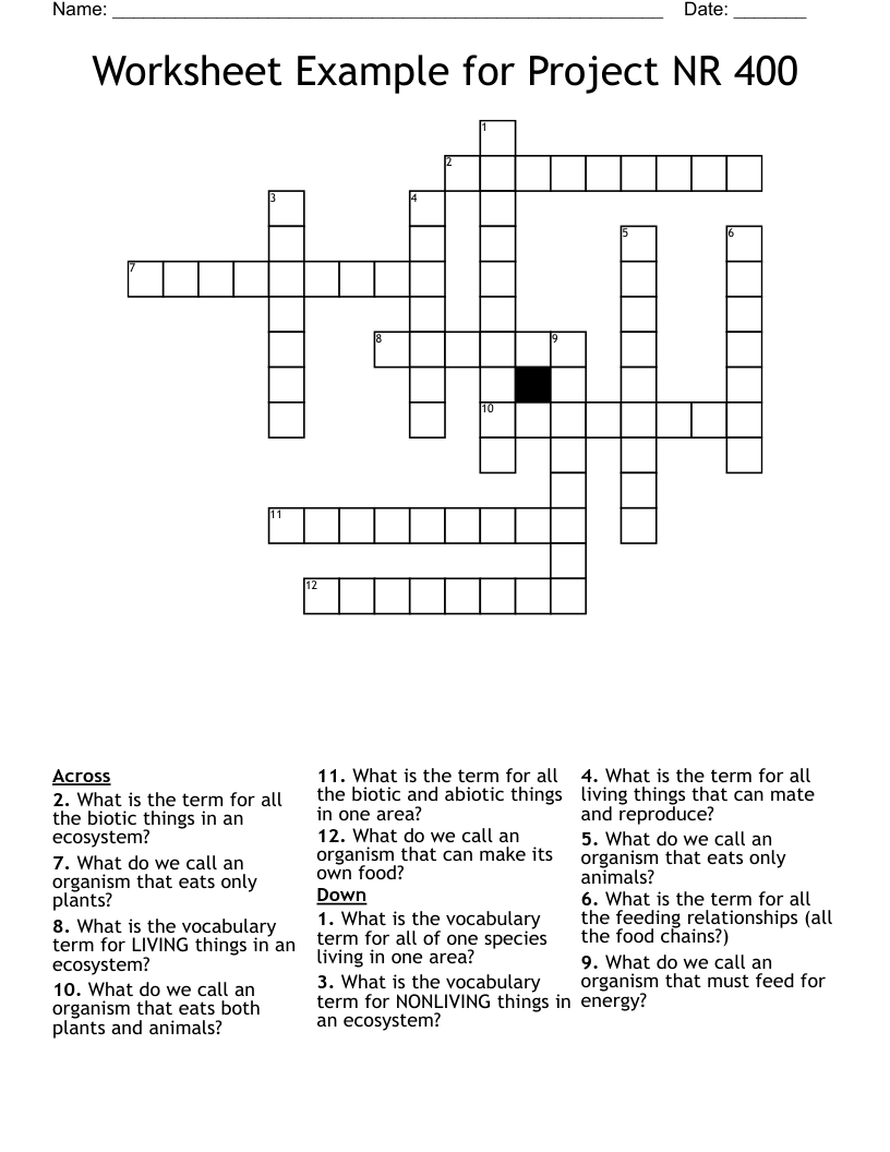 Worksheet Example for Project NR 400 Crossword WordMint