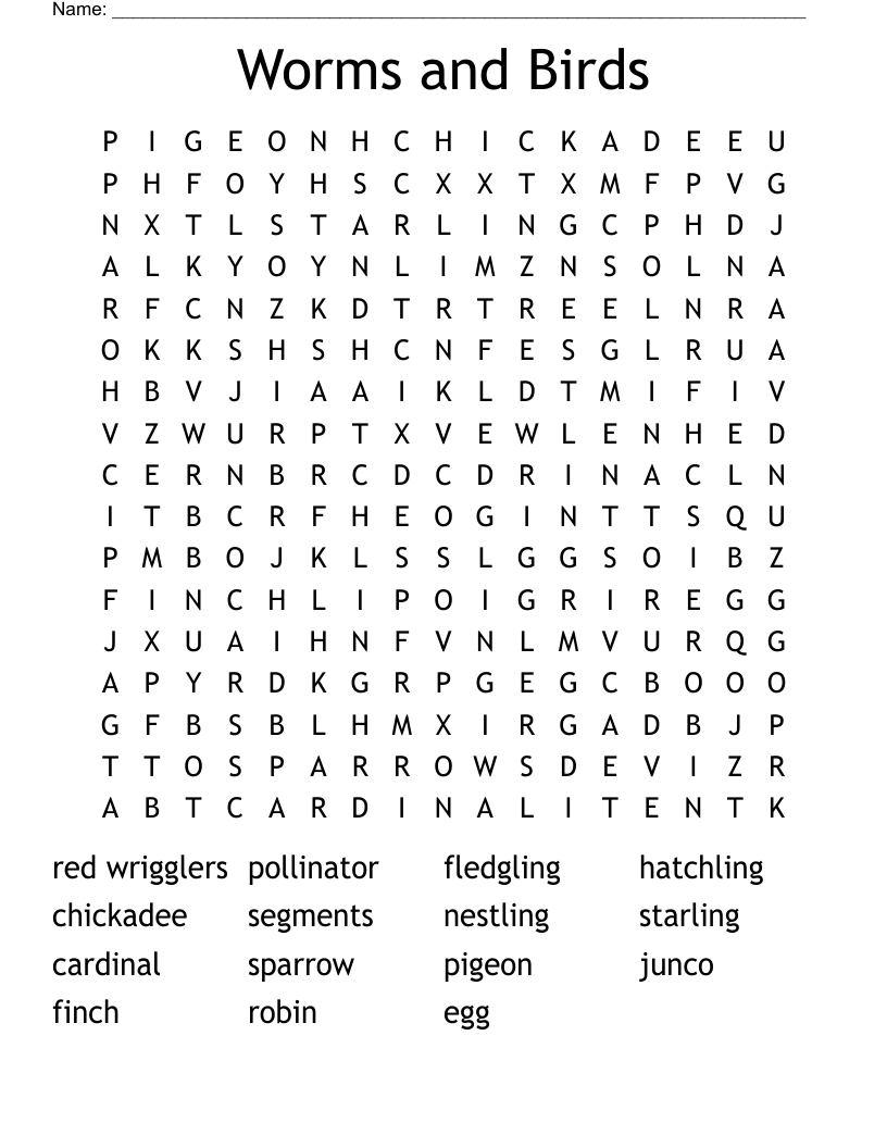 Worms and Birds Word Search