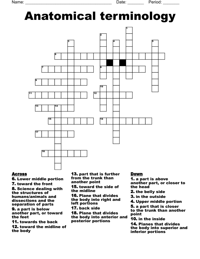 33-directional-terms-worksheet-anatomy-physiology-answers-support