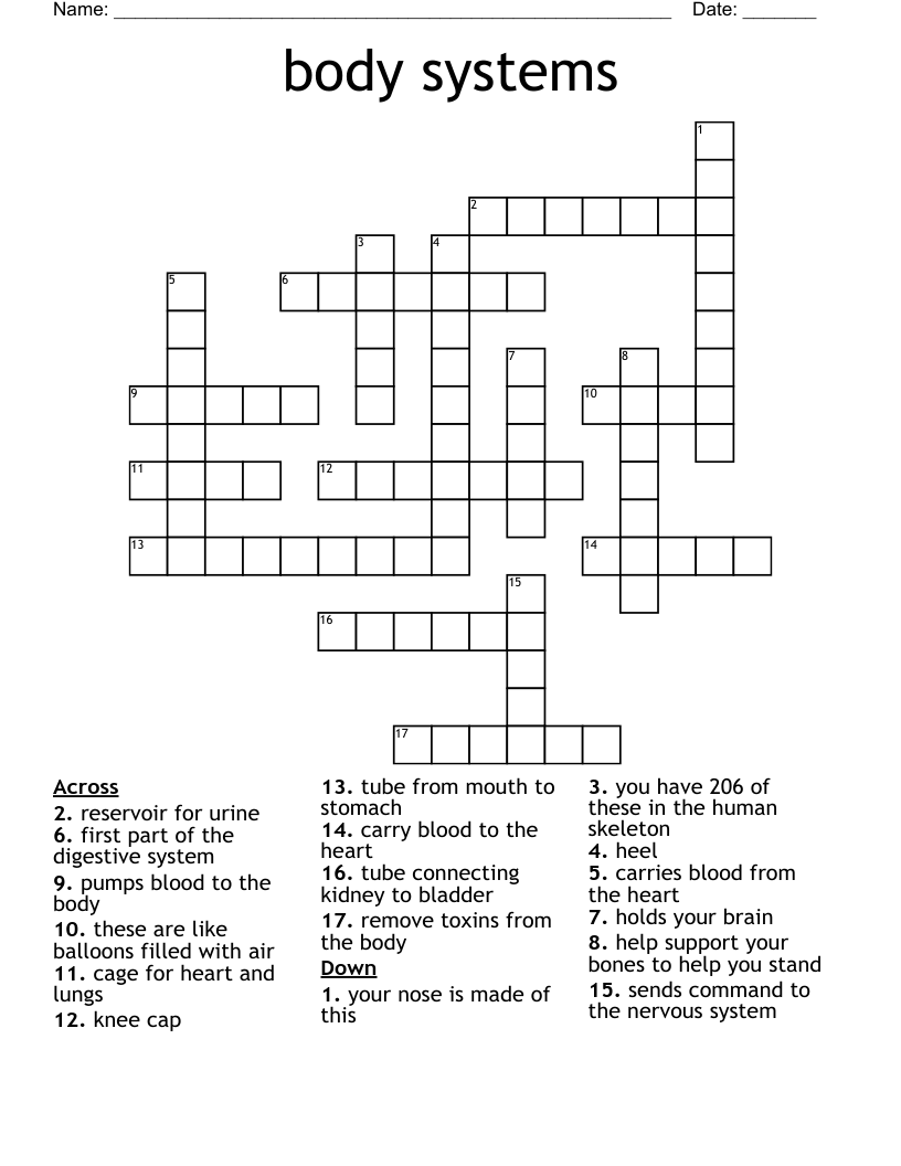 body systems Crossword WordMint