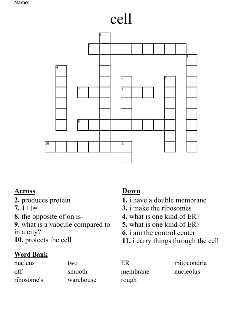 cell  Crossword