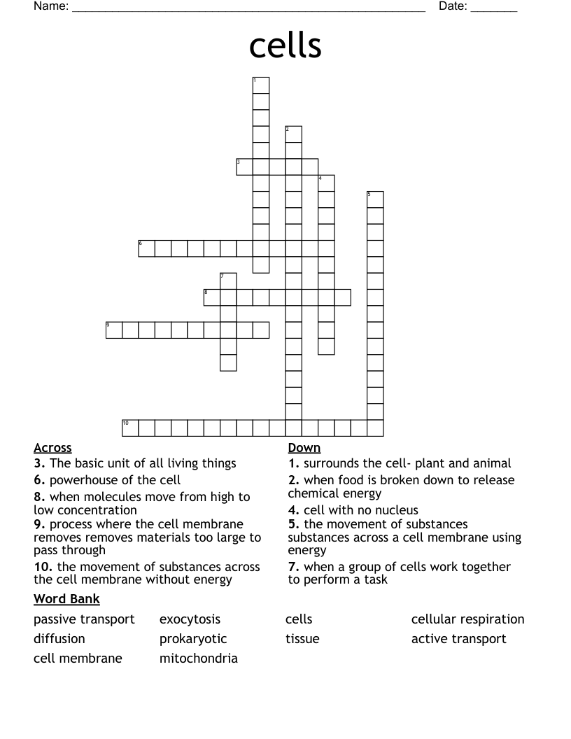 cells Crossword