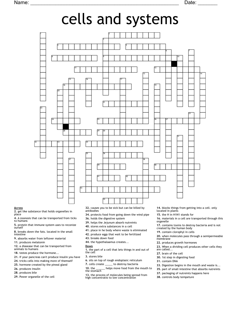 cells and systems Crossword