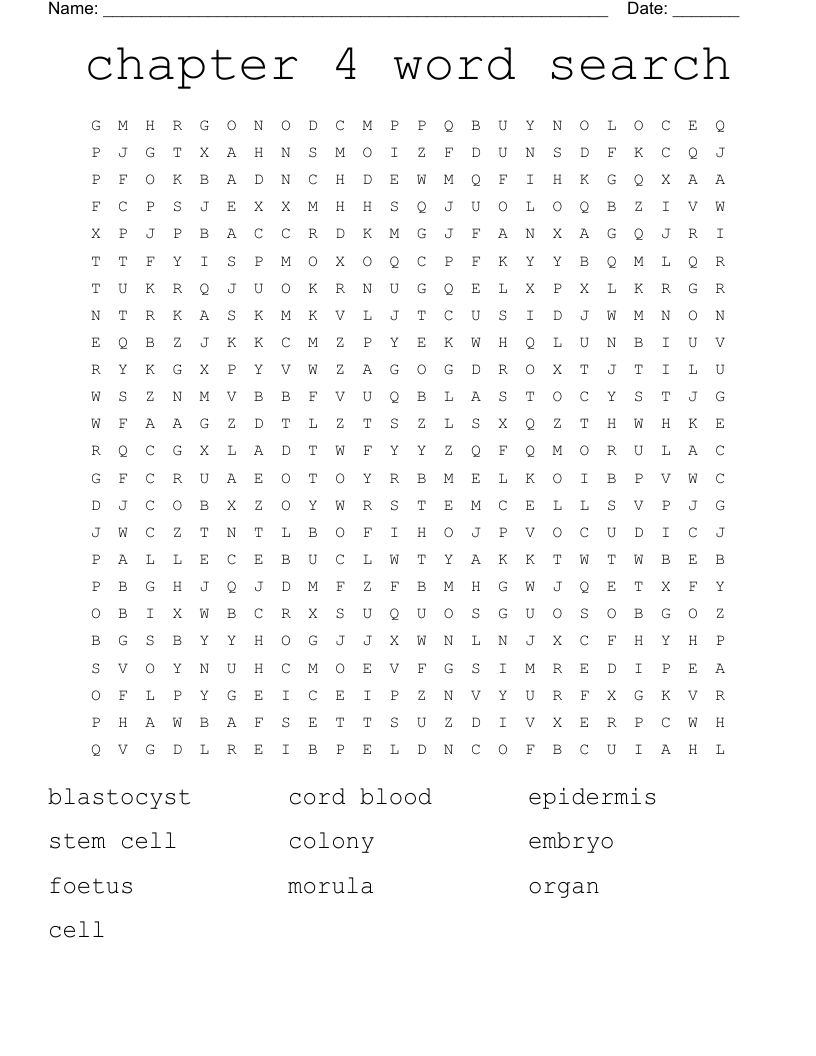 chapter 4 word search