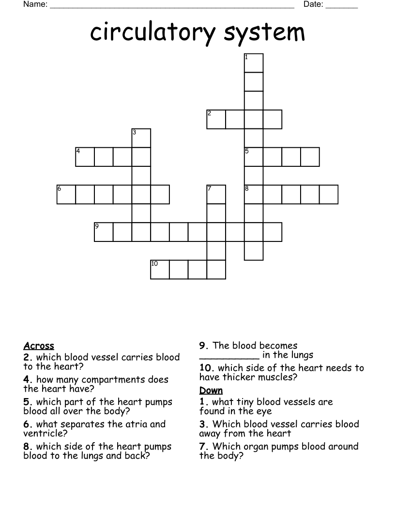 circulatory system Crossword