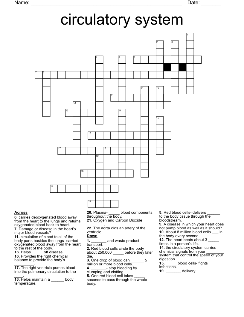 circulatory system Crossword