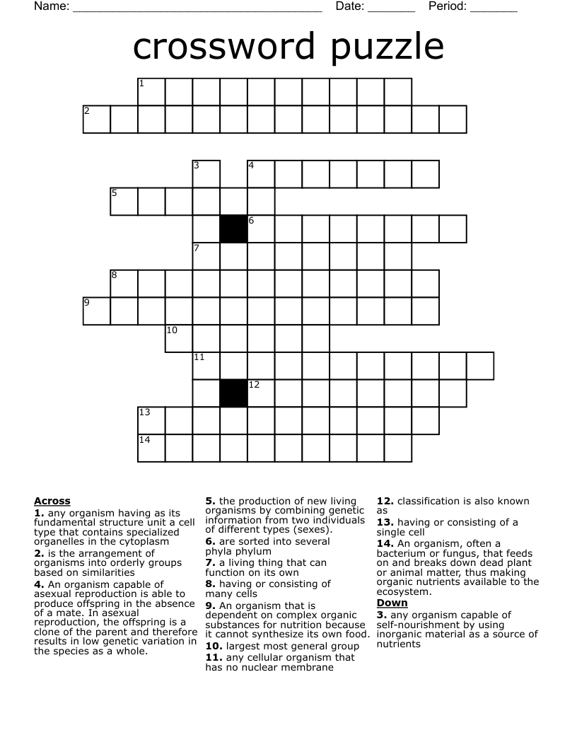 crossword puzzle 