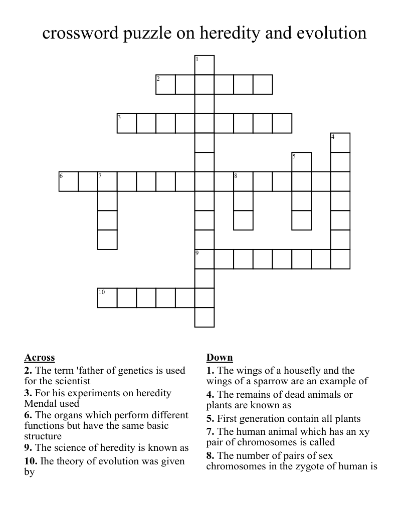 Evolution Puzzles WordMint
