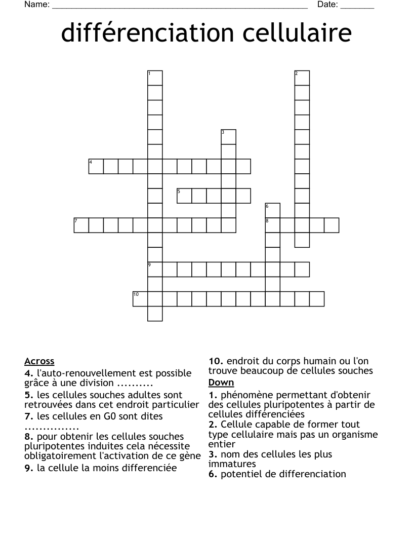 différenciation cellulaire Crossword