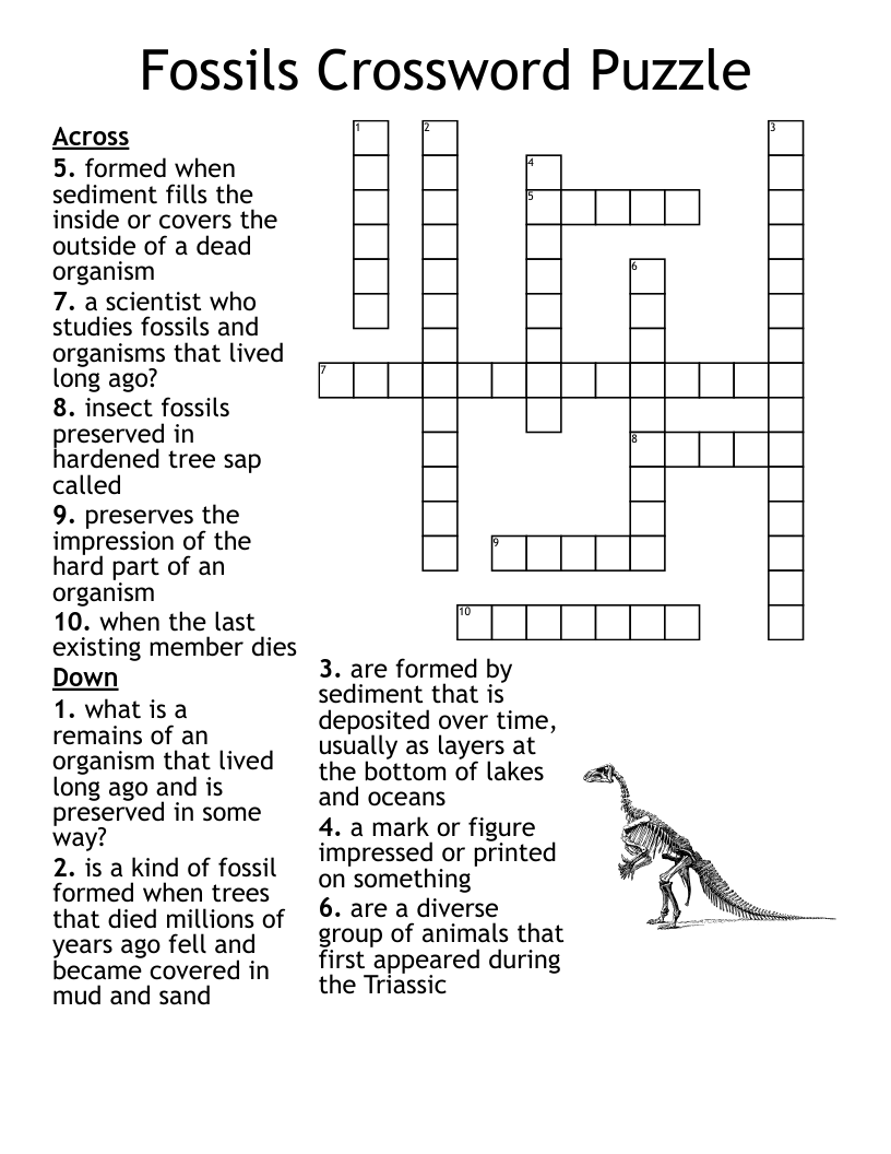 Fossil Word Search WordMint