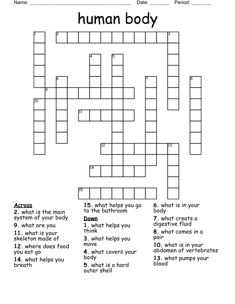 Human Body Crossword WordMint human-body-crossword-wordmint