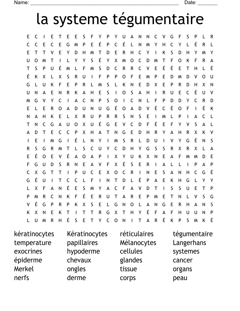 la systeme tégumentaire Word Search