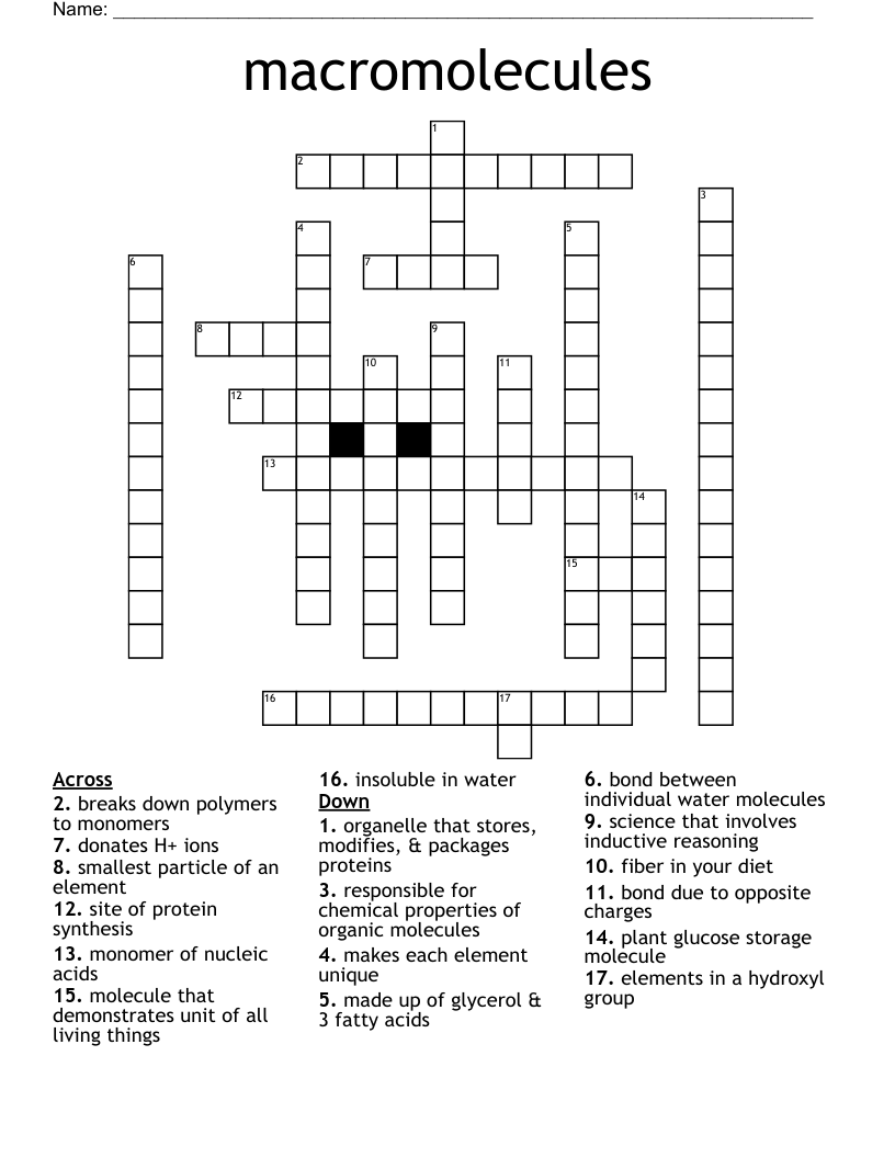 Macromolecules Crossword WordMint