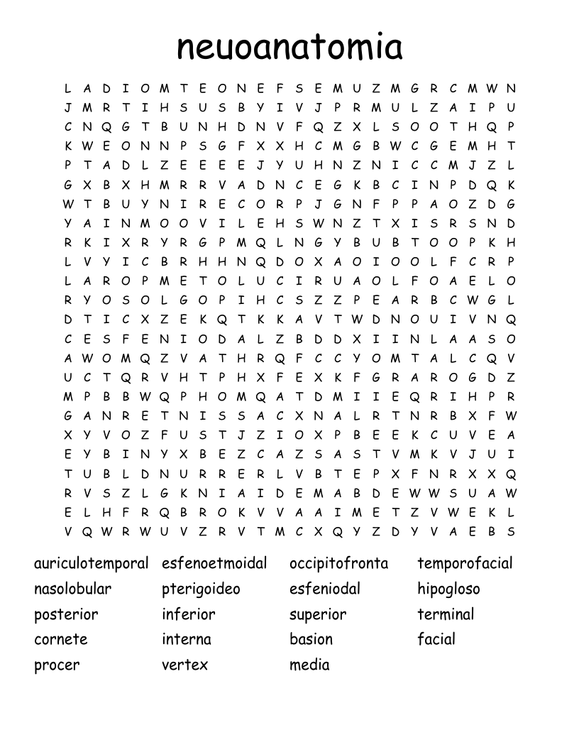 neuoanatomia Word Search