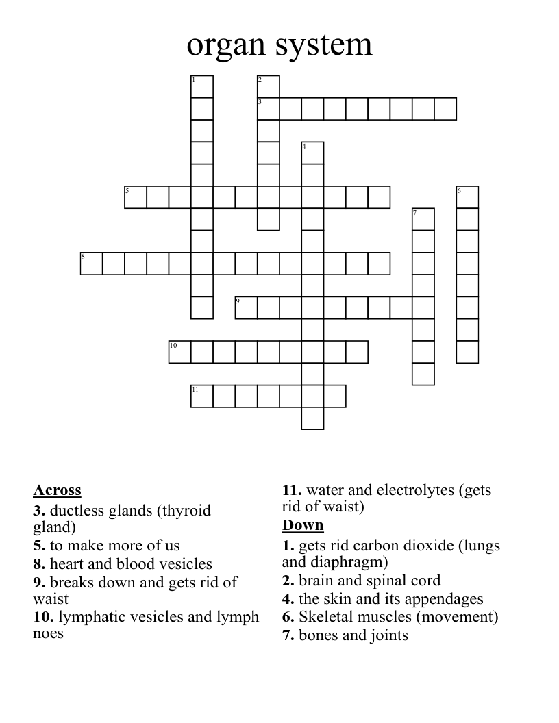 Organ System Crossword WordMint