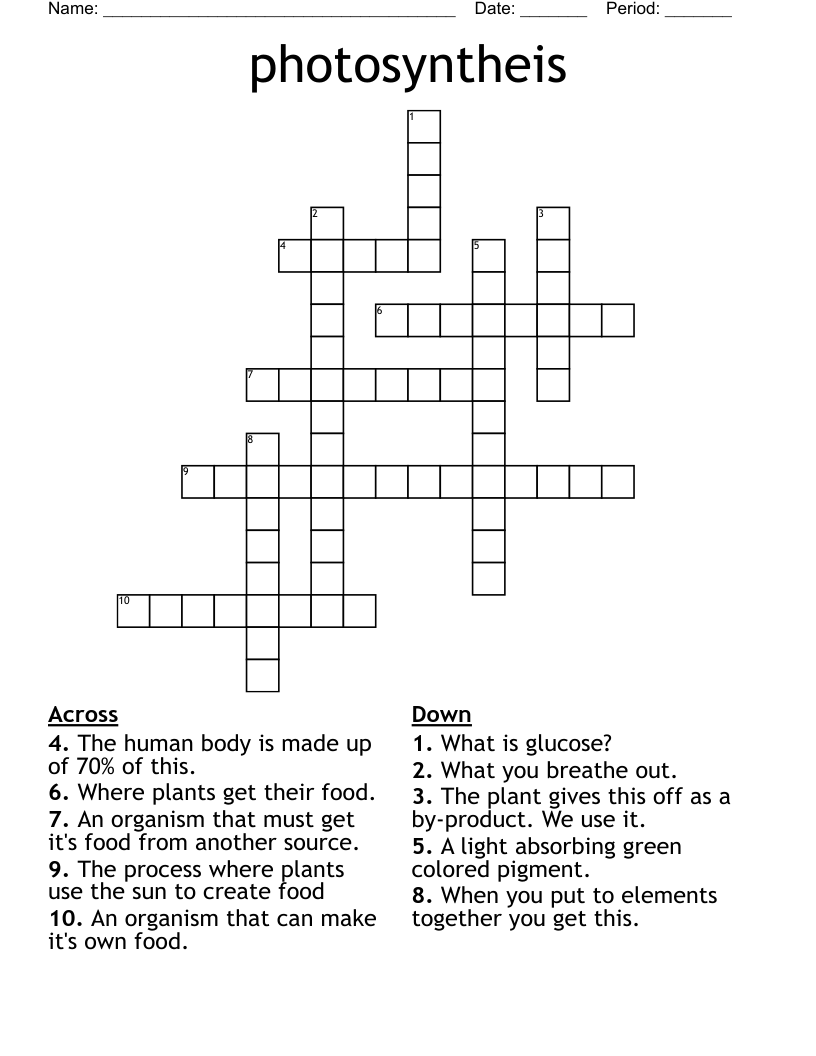 photosyntheis Crossword
