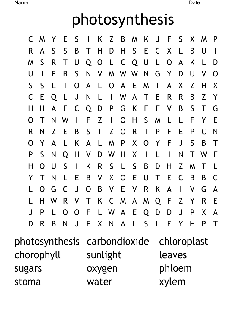 Photosynthesis Word Search WordMint