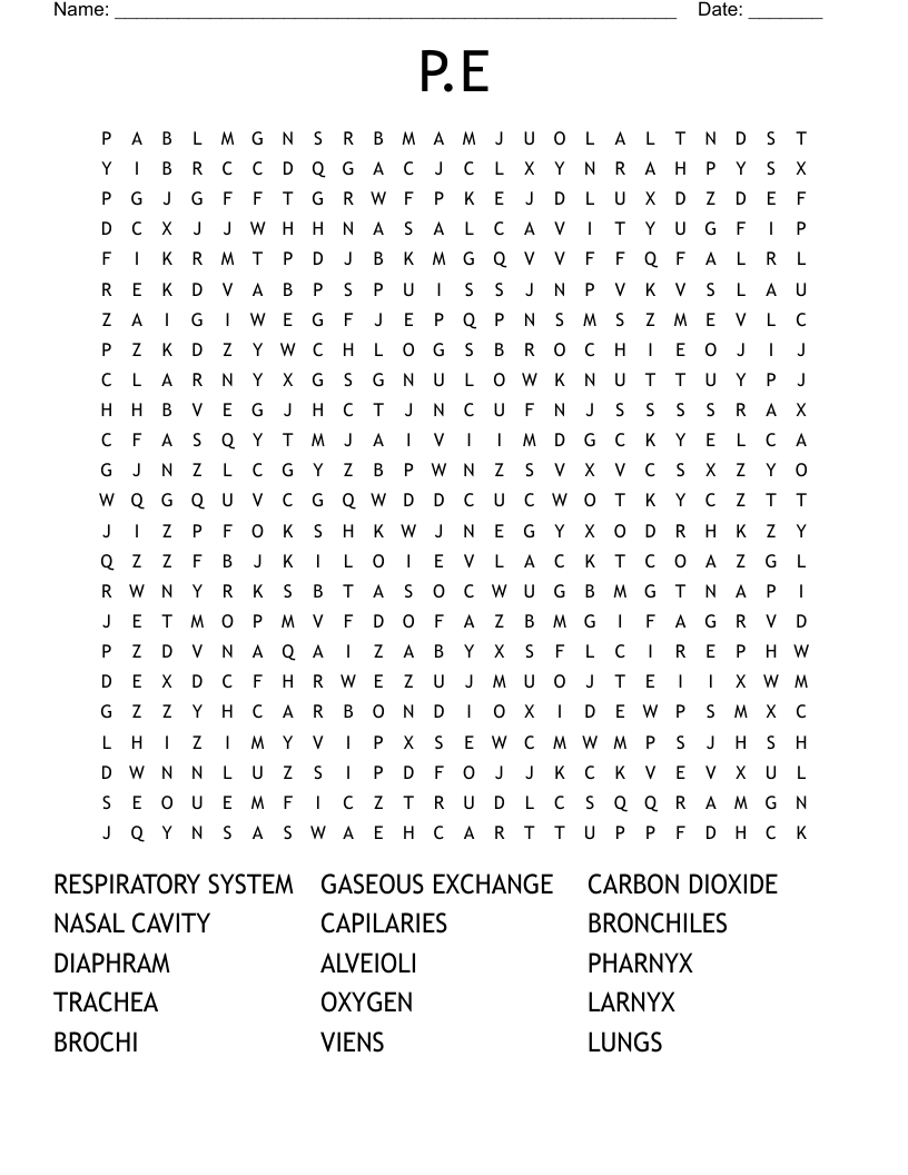 P.E Word Search